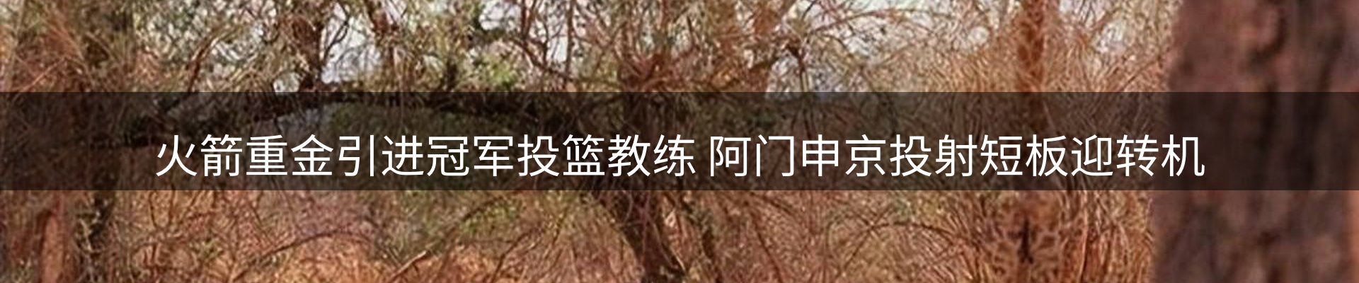 新闻中心