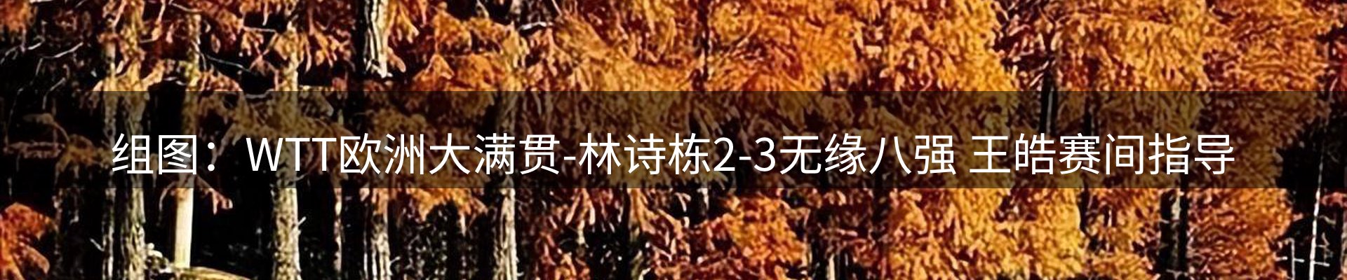新闻中心